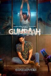 Download Gumraah (2023) Hindi Full Movie NF WEB-DL 480p [400MB] | 720p [1.4GB] | 1080p [2.5GB]