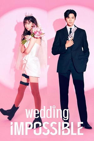 Download Wedding Impossible (Season 1) Dual Audio {Hindi-Korean} Series 480p 720p & 1080p WEB-DL