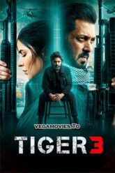 Download Tiger 3 (2023) Hindi AMZN WEB-DL 480p [500MB] | 720p [1.3GB] | 1080p [2.5GB] | 2160p 4K UHD [17GB]
